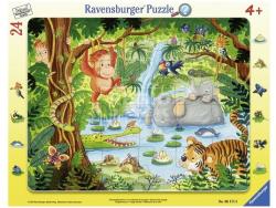 Ravensburger A dzsungelben 24 db-os (06171)