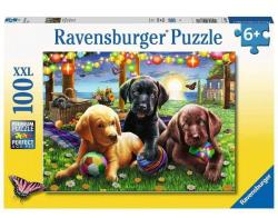 Ravensburger Puzzle Catei La Picnic, 100 Piese (rvspc12886) - ookee