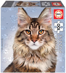 Educa Maine Coon 100 db-os (18805)