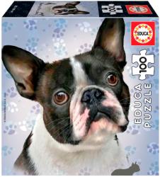 Educa French Bulldog 100 db-os (18802)