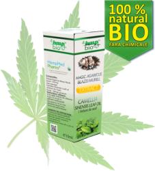 HempMed Pharma Magic Agaricus Blazei Murill Extract Camellia Sinensis Leaf Oil (Arbore de ceai), 10 ml, HempMed Pharma