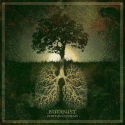Botanist Photosynthesis - facethemusic - 11 190 Ft