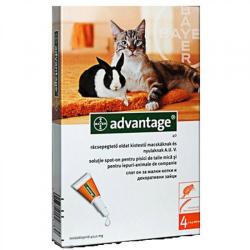 Bayer Advantage Pisica/Iepure 40 0-4 Kg, 1 Pipeta
