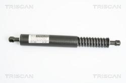 TRISCAN Amortizor portbagaj TRISCAN 8710 29264 (8710 29264) - automobilus