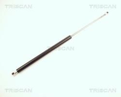 TRISCAN Amortizor portbagaj TRISCAN 8710 25225 (8710 25225)