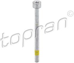 TOPRAN Surub TOPRAN 409 573 (409 573)