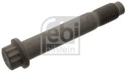 Febi Bilstein Surub, disc frana FEBI BILSTEIN 100423 (100423) - automobilus