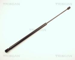TRISCAN Amortizor portbagaj TRISCAN 8710 24206 (8710 24206) - automobilus