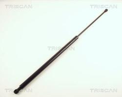 TRISCAN Amortizor portbagaj TRISCAN 8710 38212 (8710 38212) - automobilus