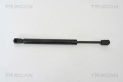 TRISCAN Amortizor portbagaj TRISCAN 8710 29260 (8710 29260) - automobilus