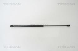 TRISCAN Amortizor portbagaj TRISCAN 8710 67208 (8710 67208) - automobilus