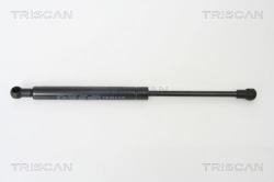 TRISCAN Amortizor capota TRISCAN 8710 11110 (8710 11110) - automobilus