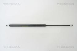 TRISCAN Amortizor portbagaj TRISCAN 8710 24227 (8710 24227) - automobilus