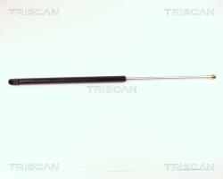 TRISCAN Amortizor portbagaj TRISCAN 8710 16213 (8710 16213) - automobilus