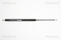 TRISCAN Amortizor portbagaj TRISCAN 8710 25236 (8710 25236) - automobilus