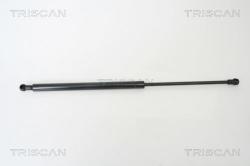 TRISCAN Amortizor portbagaj TRISCAN 8710 29258 (8710 29258) - automobilus