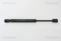 TRISCAN Amortizor portbagaj TRISCAN 8710 14240 (8710 14240) - automobilus