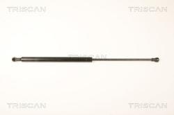 TRISCAN Amortizor portbagaj TRISCAN 8710 25245 (8710 25245) - automobilus