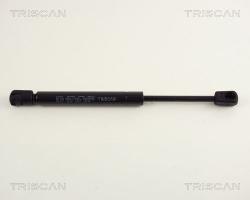 TRISCAN Amortizor portbagaj TRISCAN 8710 24224 (8710 24224) - automobilus