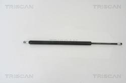 TRISCAN Amortizor portbagaj TRISCAN 8710 16242 (8710 16242) - automobilus