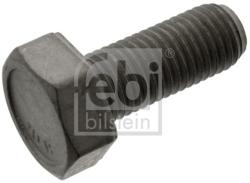Febi Bilstein Surub, disc frana FEBI BILSTEIN 48760 (48760) - automobilus