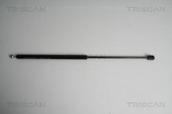 TRISCAN Amortizor portbagaj TRISCAN 8710 43227 (8710 43227) - automobilus