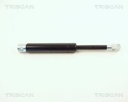 TRISCAN Amortizor portbagaj TRISCAN 8710 2312 (8710 2312) - automobilus