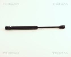 TRISCAN Amortizor portbagaj TRISCAN 8710 29248 (8710 29248) - automobilus