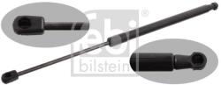 Febi Bilstein Amortizor portbagaj FEBI BILSTEIN 31654 (31654) - automobilus