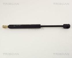 TRISCAN Amortizor portbagaj TRISCAN 8710 29219 (8710 29219) - automobilus