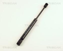 TRISCAN Amortizor portbagaj TRISCAN 8710 29231 (8710 29231) - automobilus