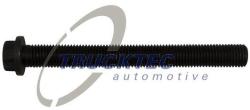 Trucktec Automotive surub chiulasa TRUCKTEC AUTOMOTIVE 01.10. 130 (01.10.130)