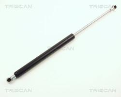 TRISCAN Amortizor capota TRISCAN 8710 12102 (8710 12102) - automobilus