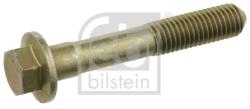 Febi Bilstein Surub, brat oscilant FEBI BILSTEIN 24381 (24381)