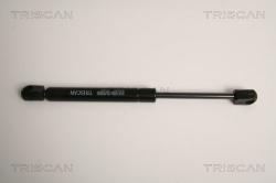 TRISCAN Amortizor portbagaj TRISCAN 8710 16253 (8710 16253) - automobilus