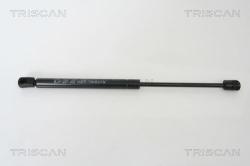 TRISCAN Amortizor portbagaj TRISCAN 8710 29271 (8710 29271) - automobilus
