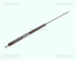 TRISCAN Amortizor portbagaj TRISCAN 8710 23202 (8710 23202) - automobilus