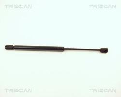 TRISCAN Amortizor portbagaj TRISCAN 8710 12209 (8710 12209) - automobilus