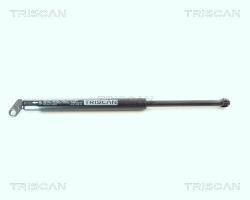 TRISCAN Amortizor portbagaj TRISCAN 8710 11207 (8710 11207) - automobilus