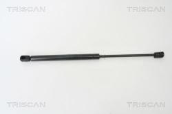 TRISCAN Amortizor portbagaj TRISCAN 8710 24228 (8710 24228) - automobilus