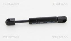 TRISCAN Amortizor portbagaj TRISCAN 8710 25262 (8710 25262) - automobilus