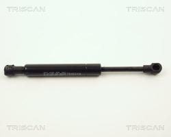 TRISCAN Amortizor portbagaj TRISCAN 8710 11219 (8710 11219) - automobilus
