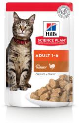 Hill's Adult hrana pentru pisici cu curcan - la plic 12 x 85 g