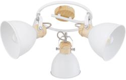 GLOBO WIHO 54018-3