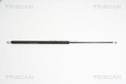 TRISCAN Amortizor portbagaj TRISCAN 8710 40230 (8710 40230) - automobilus