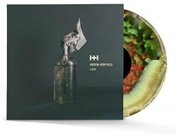 Hidden Hospitals LIARS