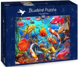 Bluebird Puzzle Tropical Fish 1500 db-os (70192)