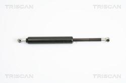TRISCAN Amortizor portbagaj TRISCAN 8710 12211 (8710 12211) - automobilus