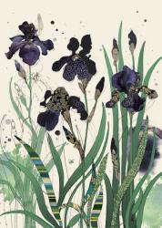 Bug Art Felicitare Black Irises