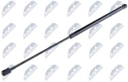NTY Amortizor portbagaj NTY AE-FT-001 (AE-FT-001)